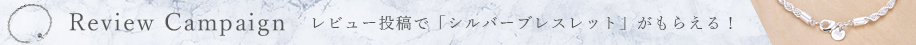 レビューキャンペーン