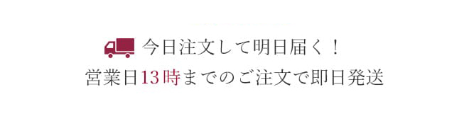 アクセサリー 即日発送
